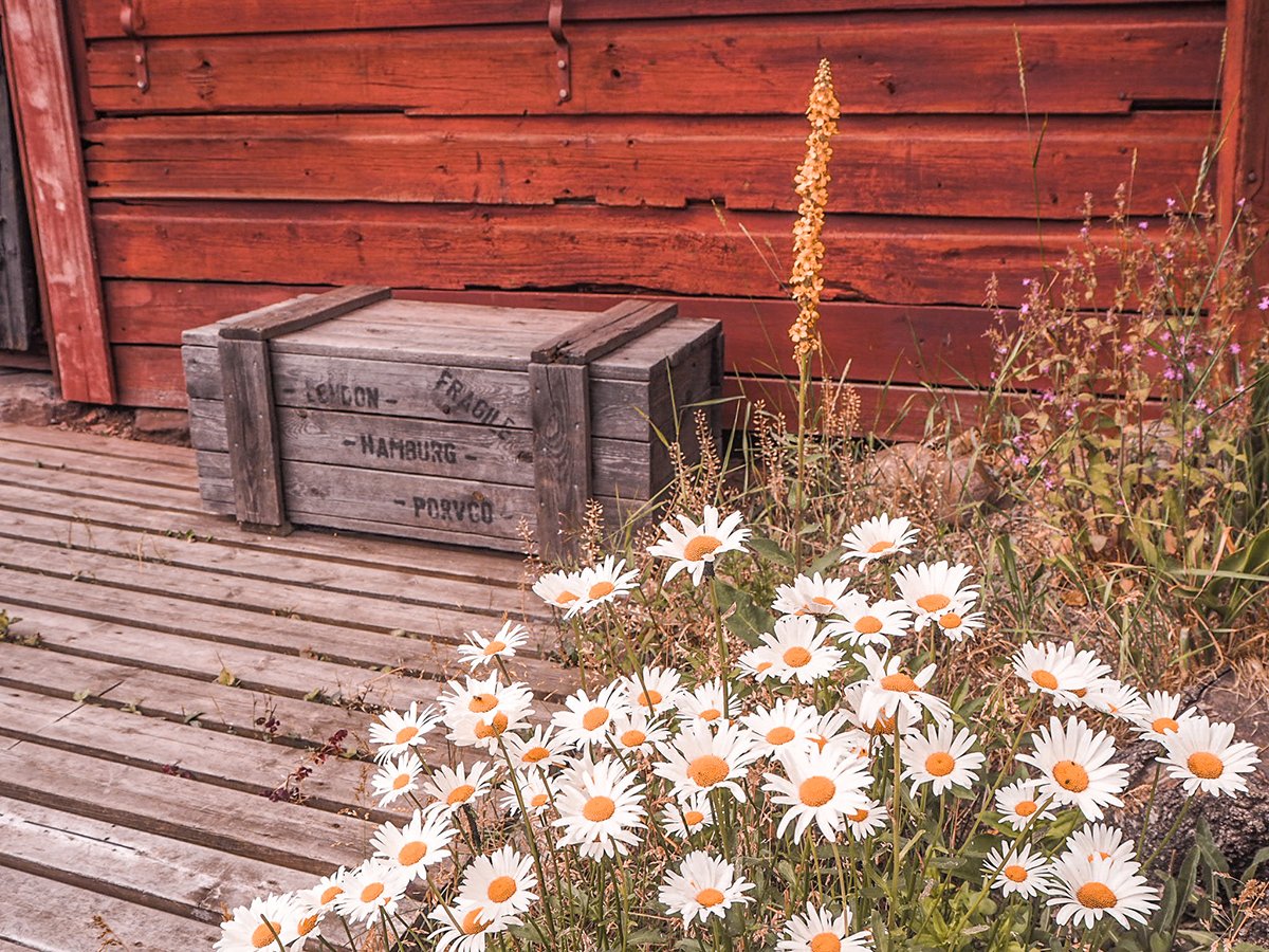 Porvoo-aitat